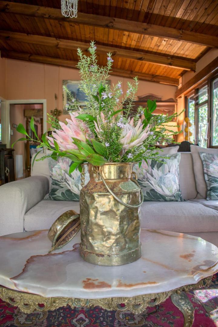 Nature'S Valley Health Retreat A Hide Away In The Forest ภายนอก รูปภาพ