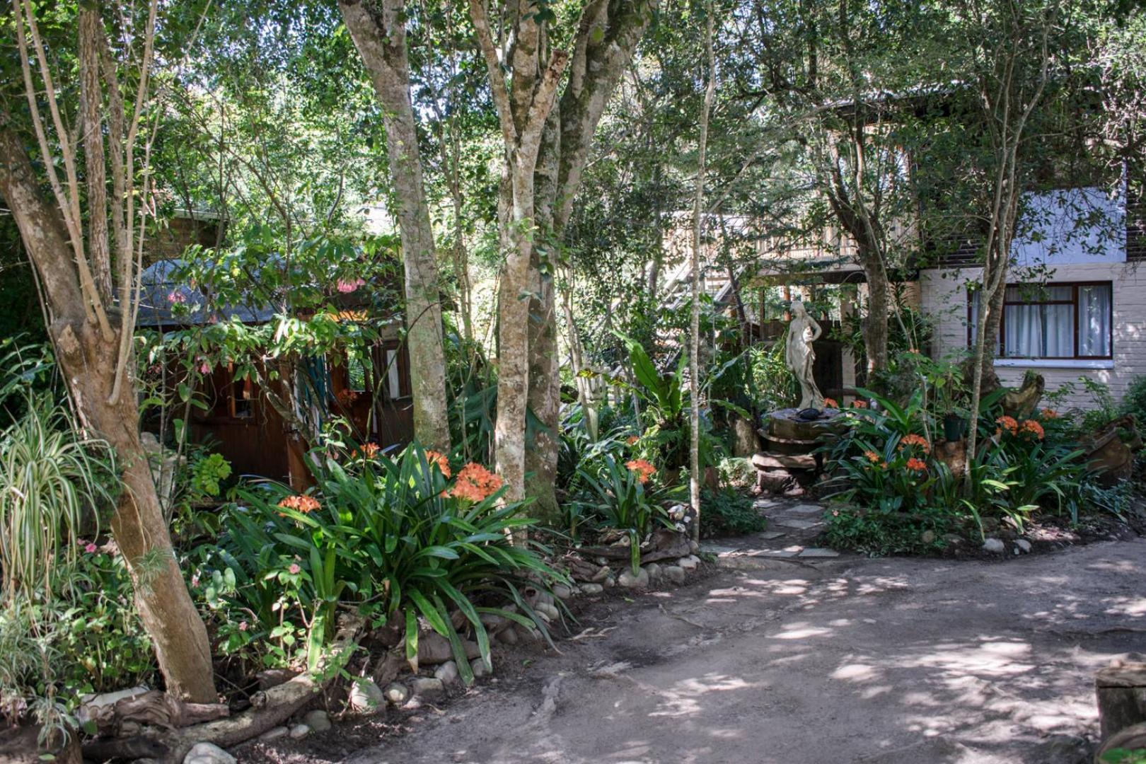 Nature'S Valley Health Retreat A Hide Away In The Forest ภายนอก รูปภาพ