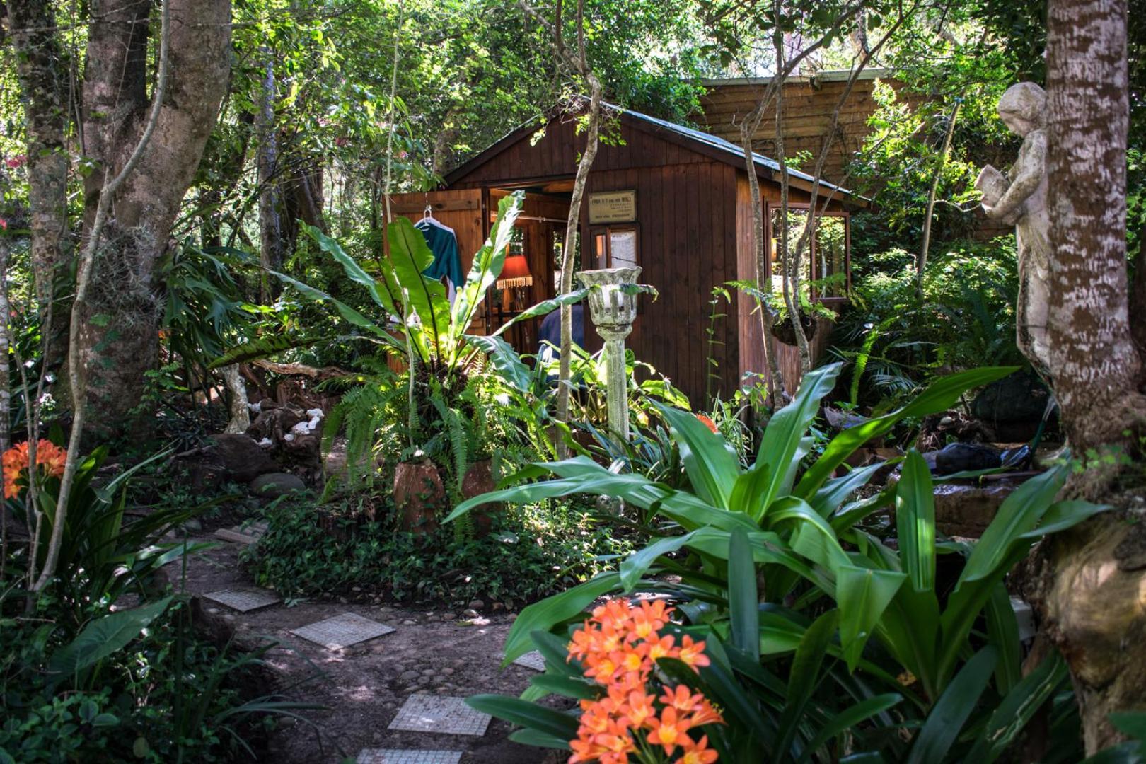 Nature'S Valley Health Retreat A Hide Away In The Forest ภายนอก รูปภาพ