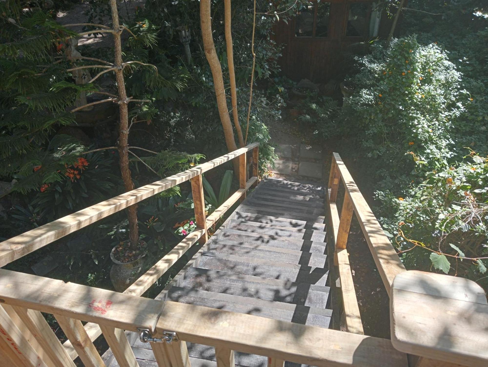 Nature'S Valley Health Retreat A Hide Away In The Forest ภายนอก รูปภาพ
