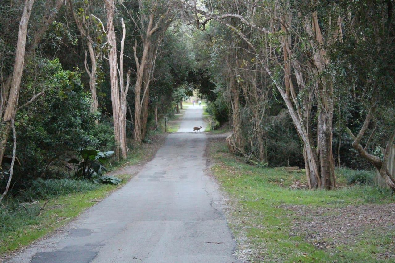 Nature'S Valley Health Retreat A Hide Away In The Forest ภายนอก รูปภาพ