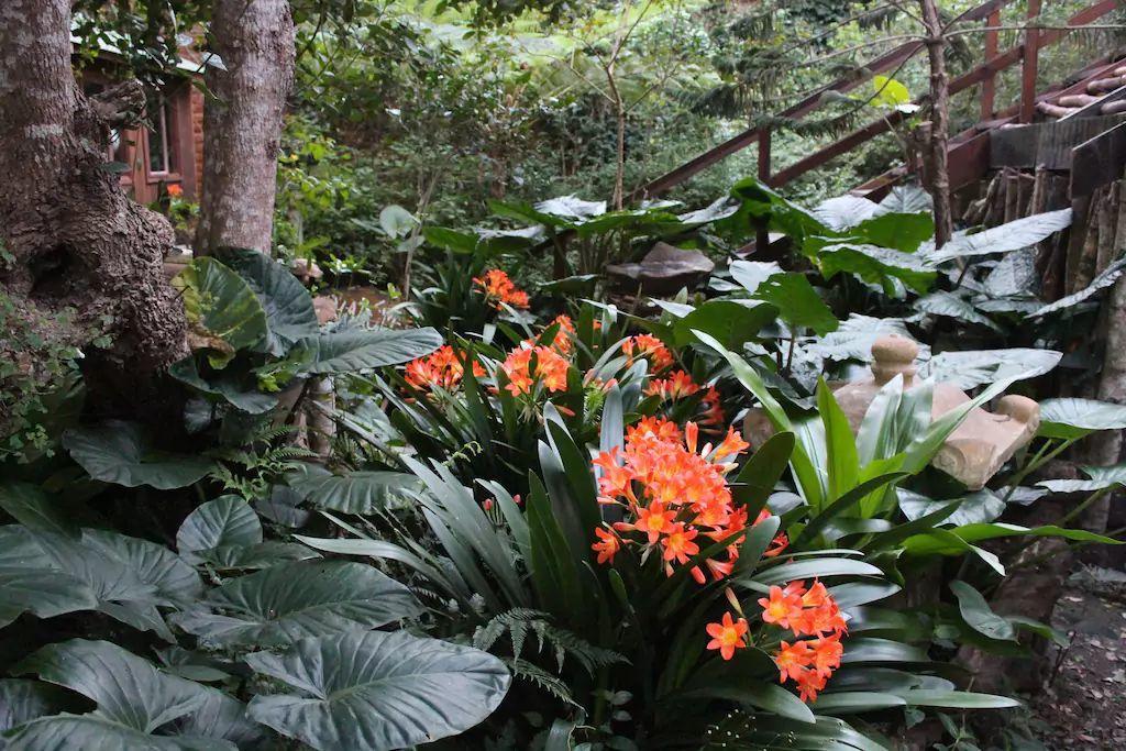 Nature'S Valley Health Retreat A Hide Away In The Forest ภายนอก รูปภาพ