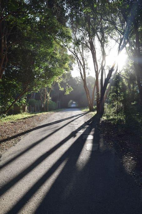 Nature'S Valley Health Retreat A Hide Away In The Forest ภายนอก รูปภาพ