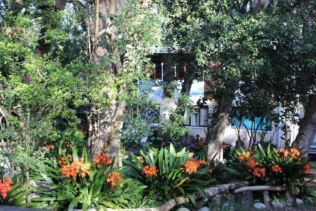 Nature'S Valley Health Retreat A Hide Away In The Forest ภายนอก รูปภาพ